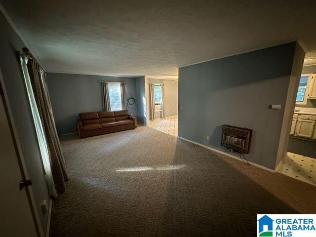 130 Old Dam Road Goodwater, AL 35072 - Photo 5 of 20