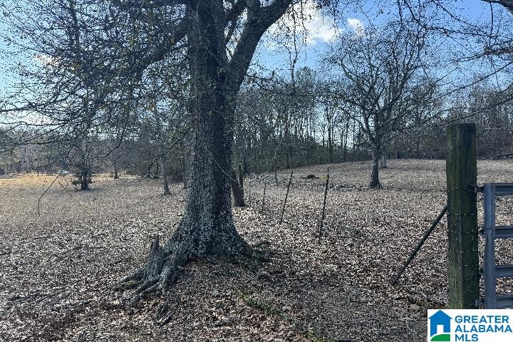 1036 Rushing Springs Road Lincoln, AL 35096 - Photo 24 of 58