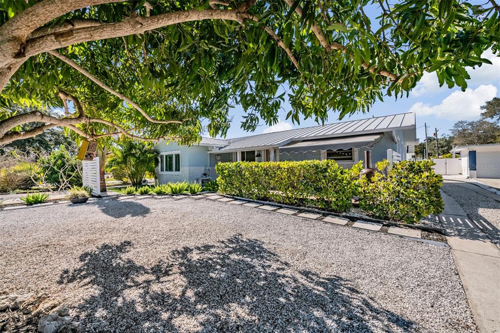 2020 Culberson Avenue Dunedin, FL 34698 - Photo 37 of 52 a house with a tree in front of it