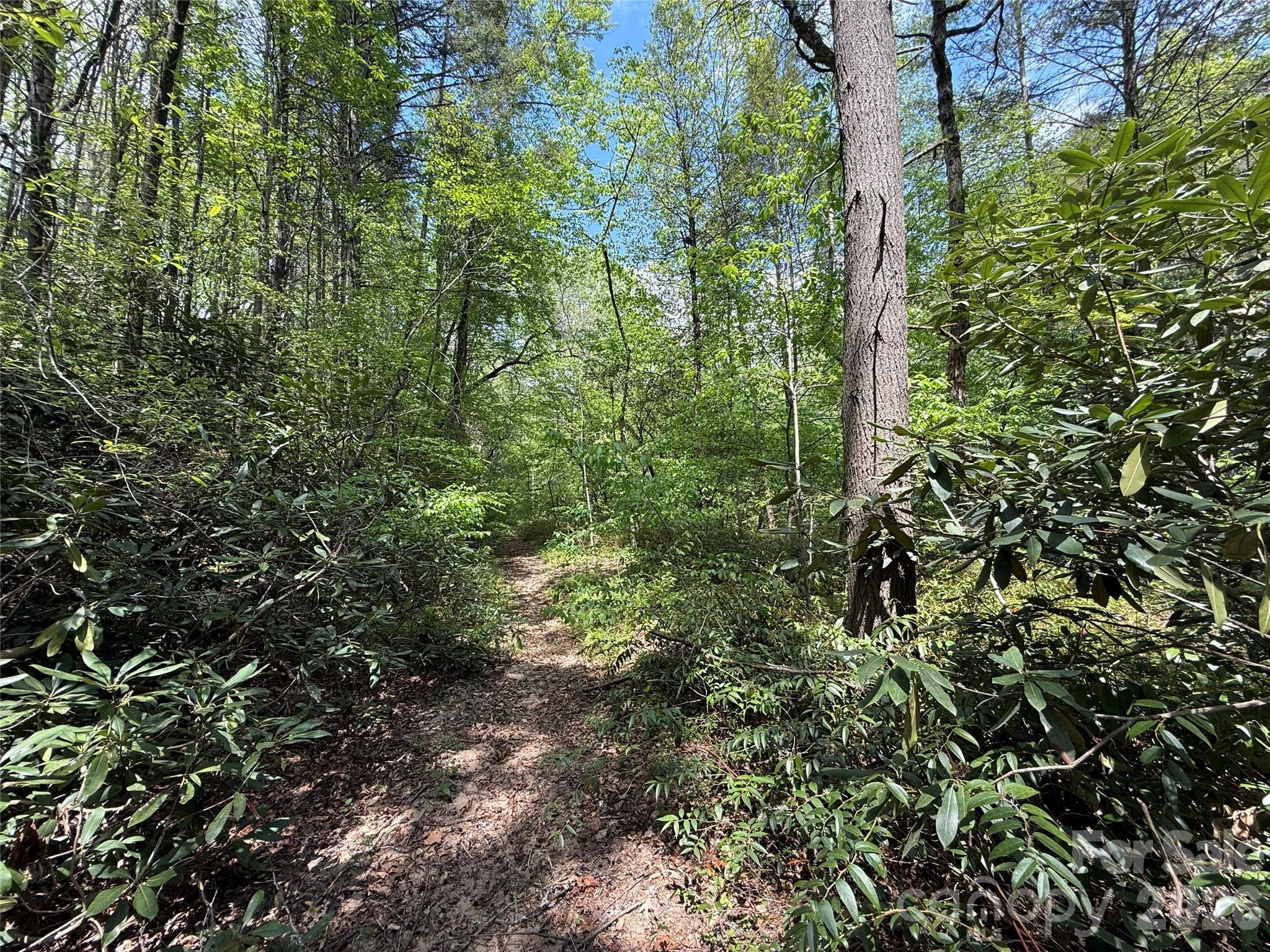0 Kings Glen Road Old Fort, NC 28762 - Photo 12 of 47 Gallery Image 12