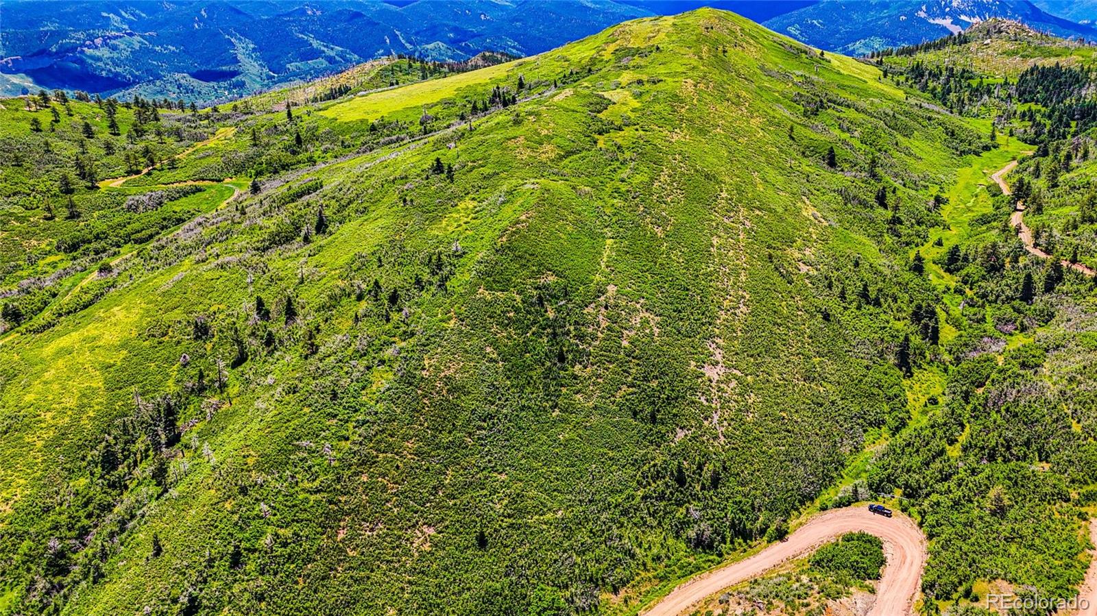 Lot 38 Raspberry Mountain Ranch La Veta, CO 81055 - Photo 2 of 8 a view of a big yard with plants and large trees