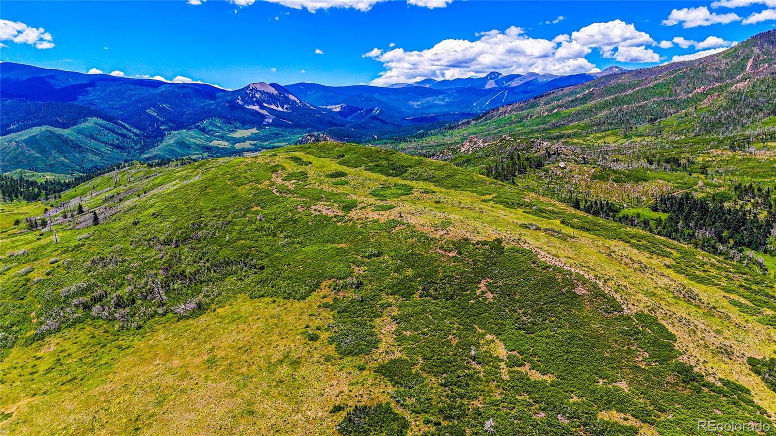 Lot 38 Raspberry Mountain Ranch La Veta, CO 81055 - Photo 5 of 8 a view of a yard with an umbrella