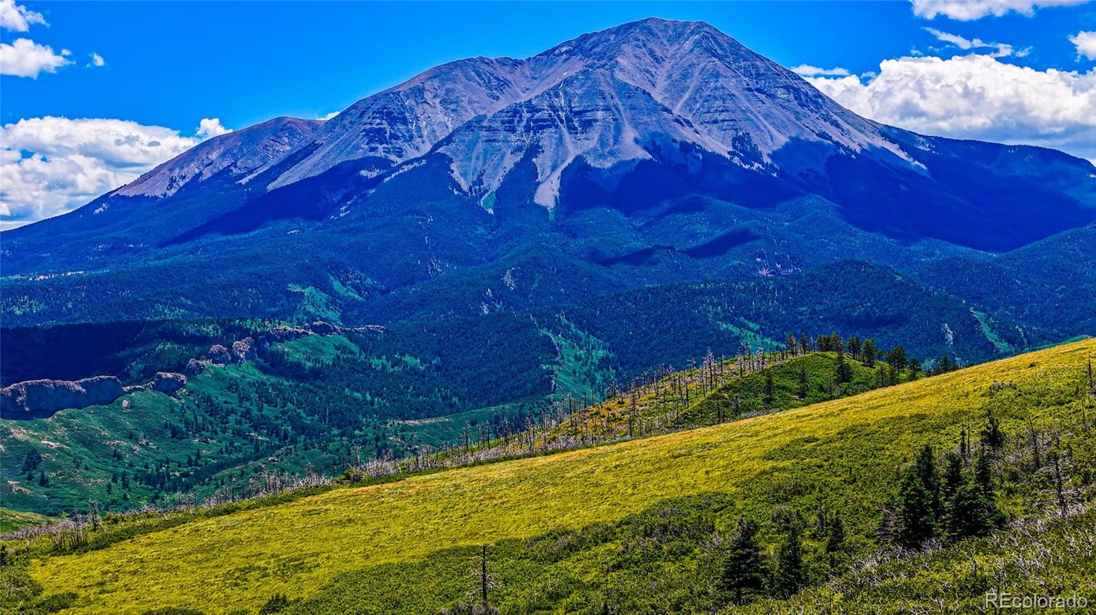 Lot 38 Raspberry Mountain Ranch La Veta, CO 81055 - Photo 8 of 8 a view of a yard