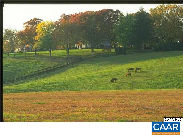 7 Carroll Creek Road Keswick, VA 22947 - Photo 12 of 18 Gallery Image 12