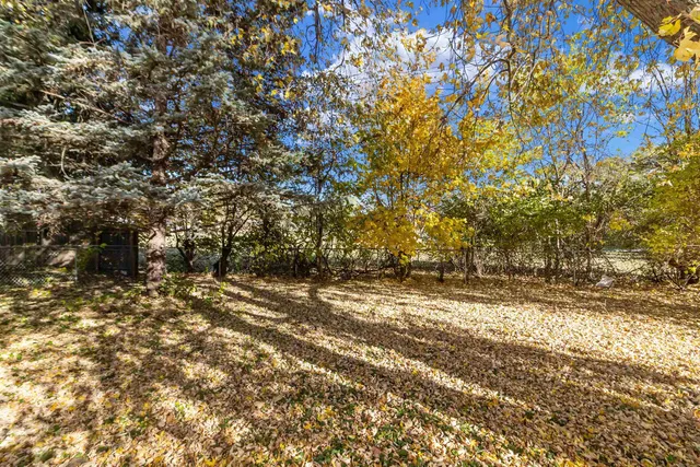 a view of a yard with a tree