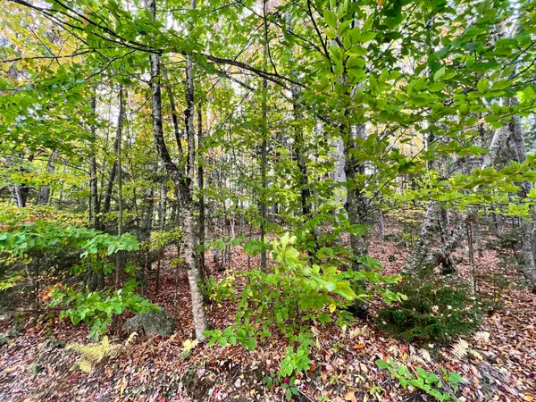 $59,000 | 400 Rd Round The Lake, Grantham, NH 03753