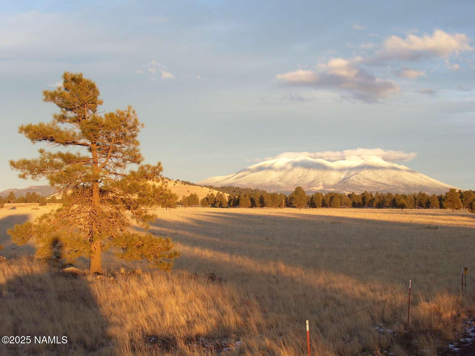 13941 Wild Bill Road Parks, AZ 86018 - Photo 45 of 52 Veros.44