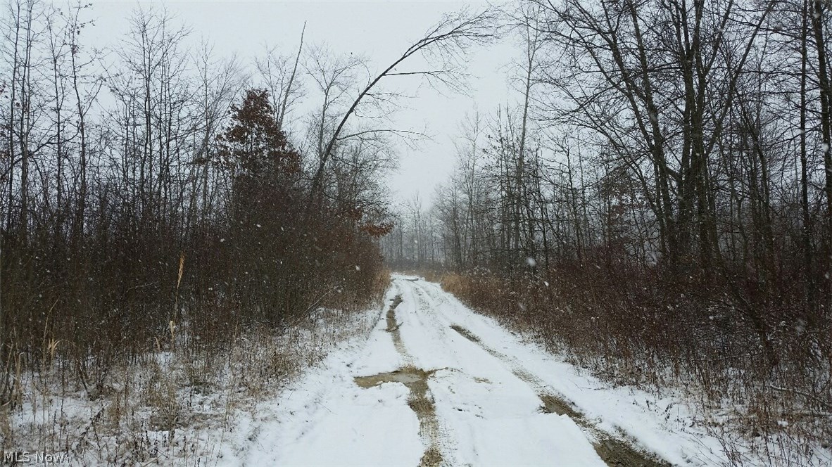 Wayland Road Deerfield, OH 44411 - Photo 4 of 8