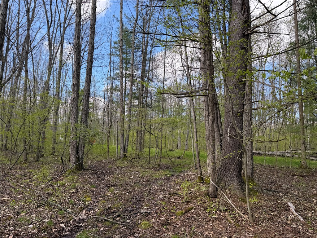 5373 Pig Tail Road Friendship, NY 14739 - Photo 33 of 50