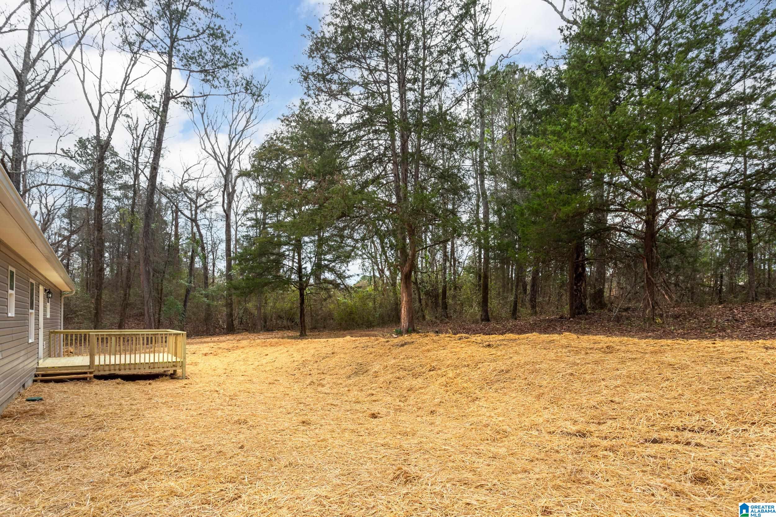 66 Shady Lane Ohatchee, AL 36271 - Photo 30 of 32