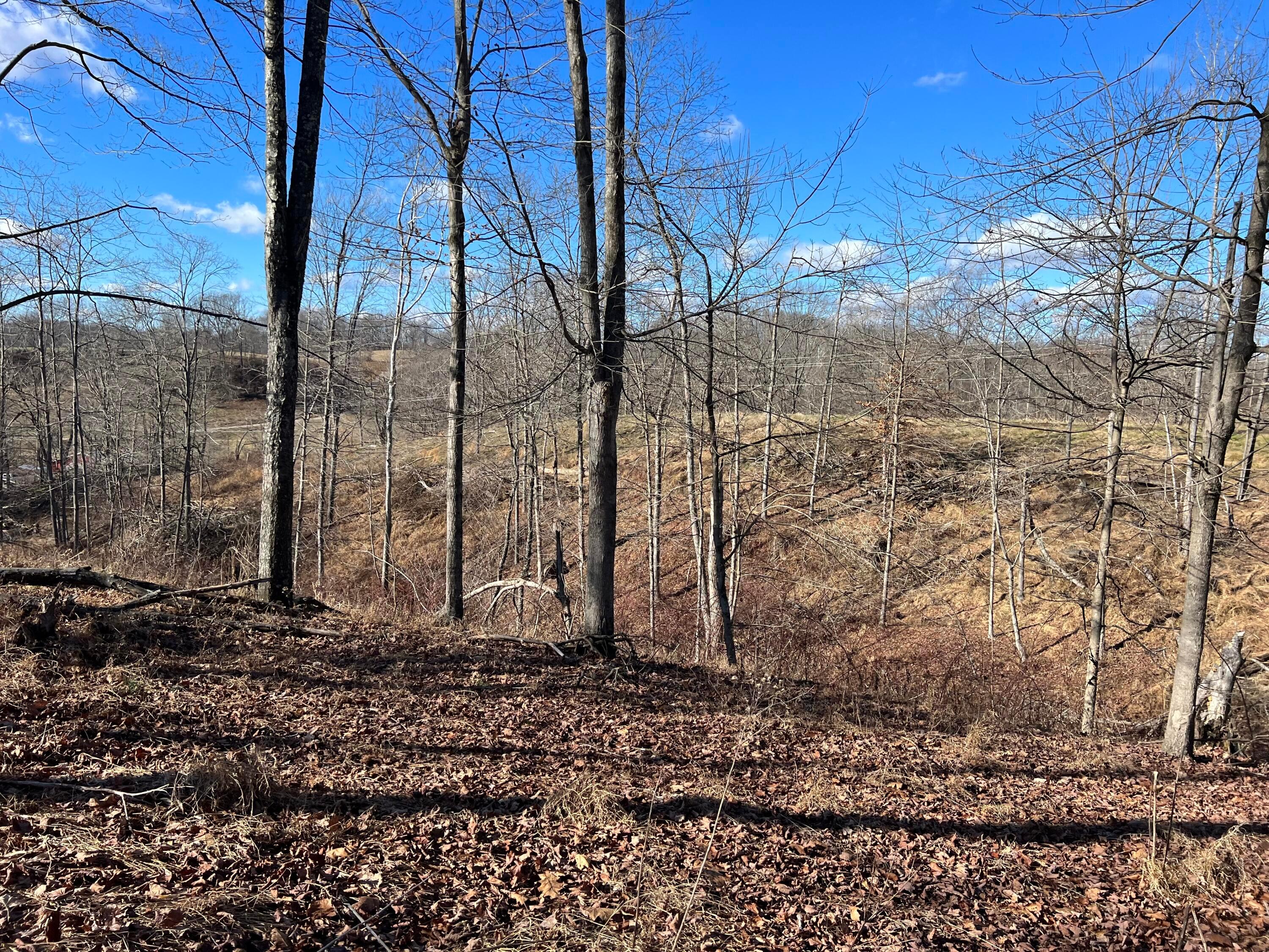 0 McGrath Road, Unit MCGRATH TRACT 3) Athens, OH 45701 - Photo 4 of 27 4