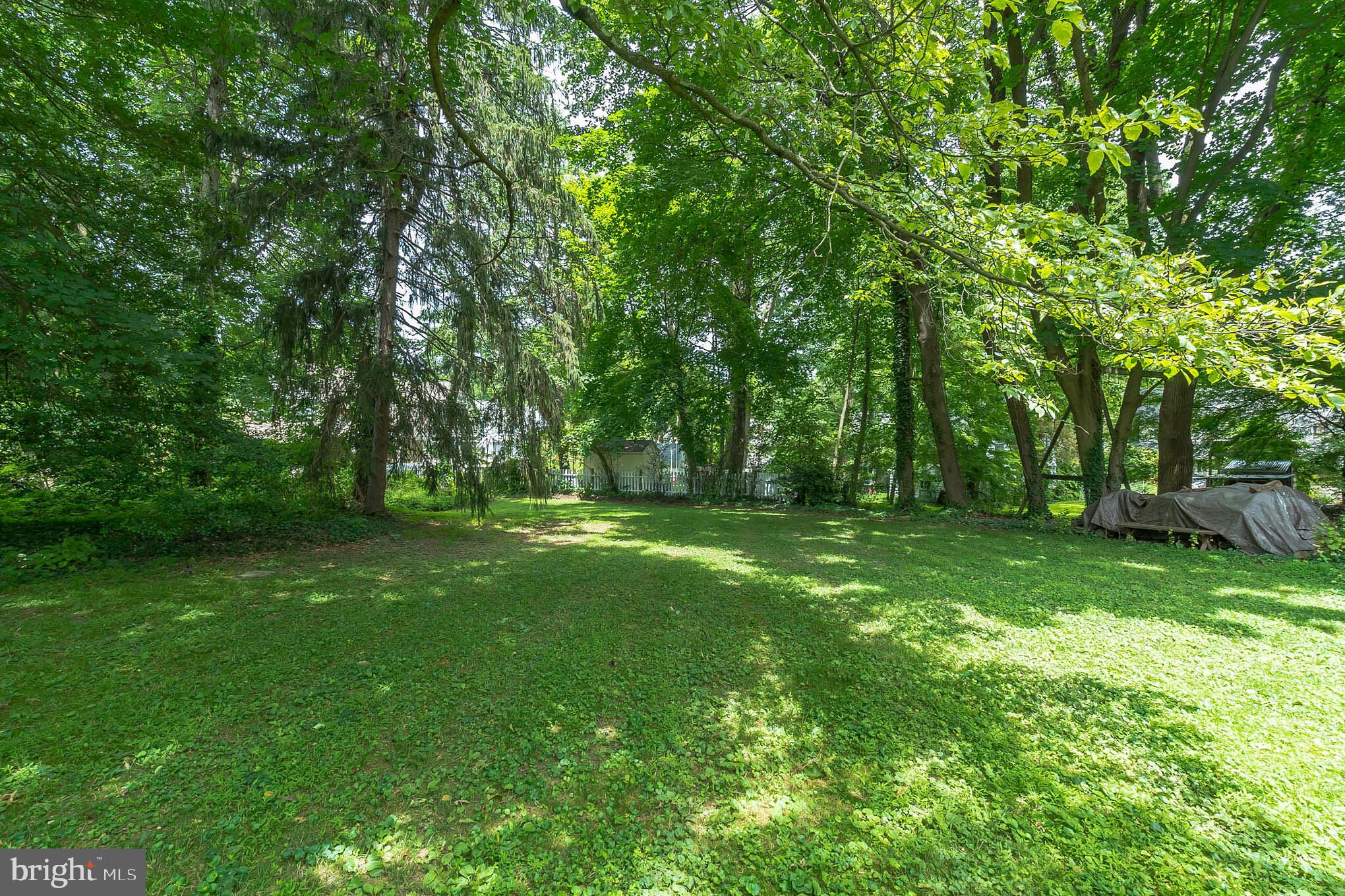 417 East Waverly Road Wyncote, PA 19095 - Photo 46 of 54 Back yard