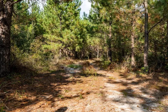 $931,080 | 0 Edgefield Road, Trenton, SC 29847