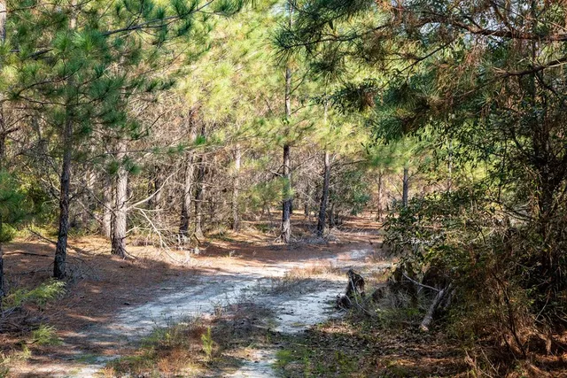 $931,080 | 0 Edgefield Road, Trenton, SC 29847