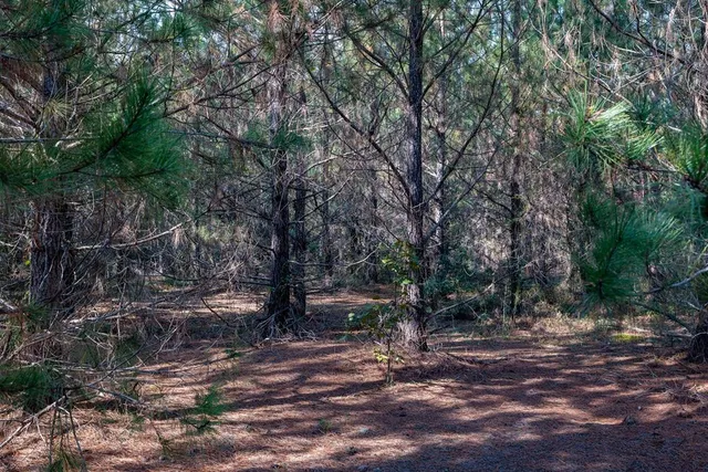 $931,080 | 0 Edgefield Road, Trenton, SC 29847