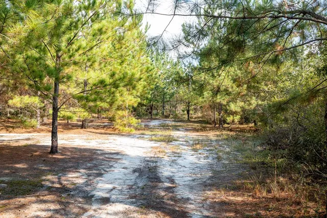 $931,080 | 0 Edgefield Road, Trenton, SC 29847