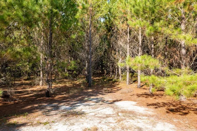 $931,080 | 0 Edgefield Road, Trenton, SC 29847