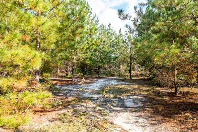 $931,080 | 0 Edgefield Road, Trenton, SC 29847