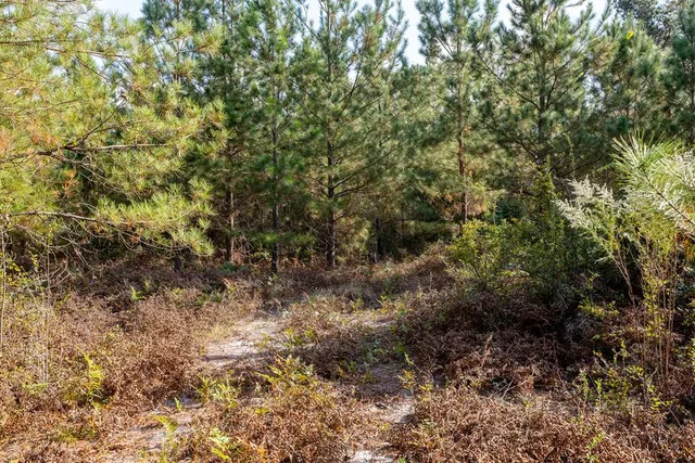 $931,080 | 0 Edgefield Road, Trenton, SC 29847