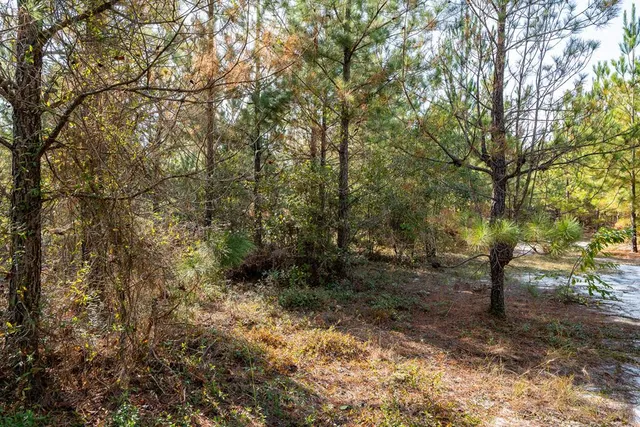 $931,080 | 0 Edgefield Road, Trenton, SC 29847