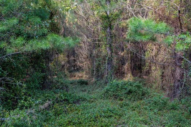 $931,080 | 0 Edgefield Road, Trenton, SC 29847