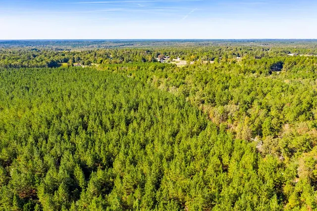 $931,080 | 0 Edgefield Road, Trenton, SC 29847