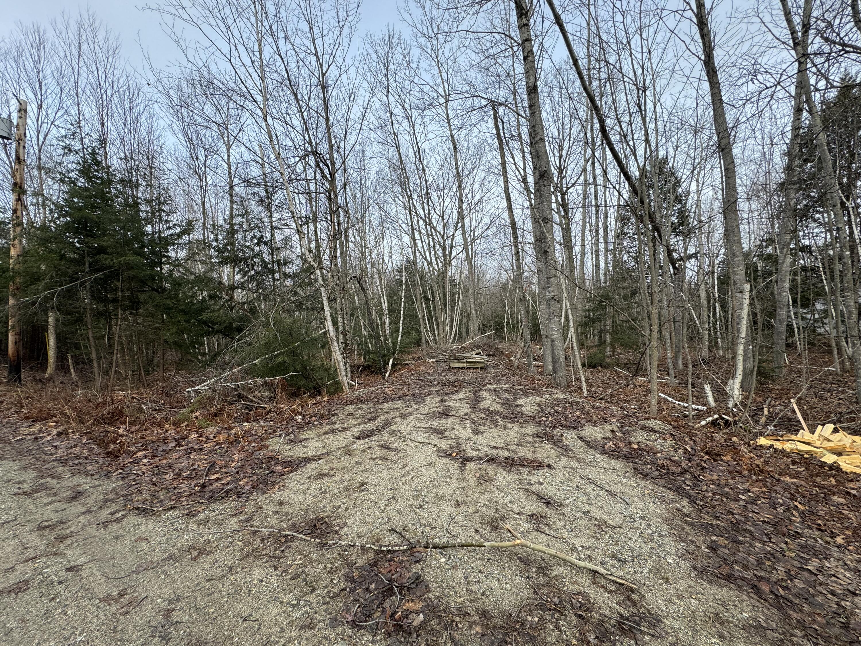 Lot 21 Johnson Road Greene, ME 04236 - Photo 8 of 18 IMG_4080