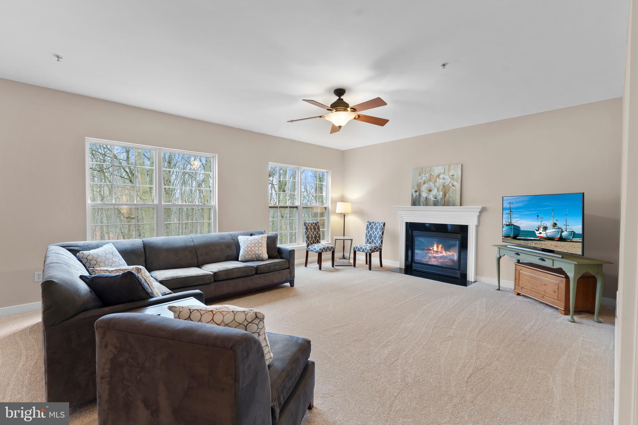 934 Zenith Drive Freeland, MD 21053 - Photo 21 of 50 a living room with furniture a fireplace and a flat screen tv
