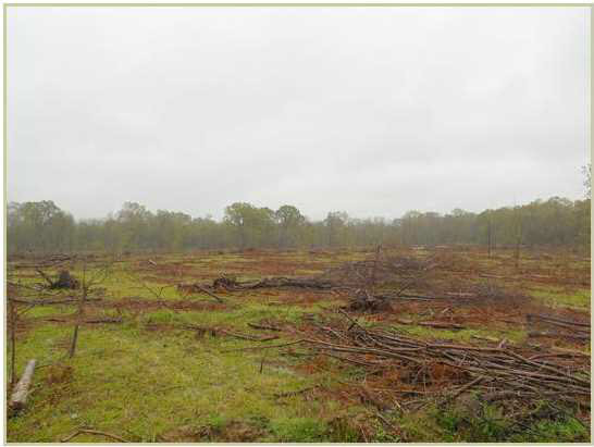1620 Owens Road Raymond, MS 39154 - Photo 1 of 10 Photo 1