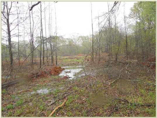1620 Owens Road Raymond, MS 39154 - Photo 2 of 10 Photo 2