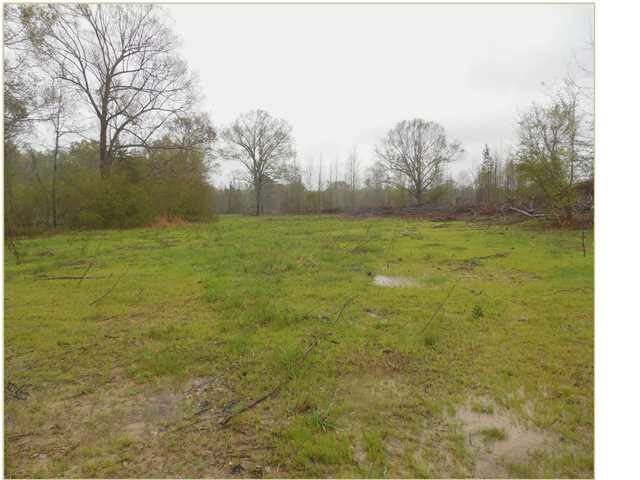 1620 Owens Road Raymond, MS 39154 - Photo 4 of 10 Photo 4