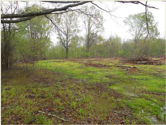 1620 Owens Road Raymond, MS 39154 - Photo 7 of 10 Photo 7
