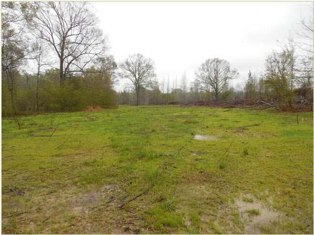 1620 Owens Road Raymond, MS 39154 - Photo 8 of 10 Photo 8