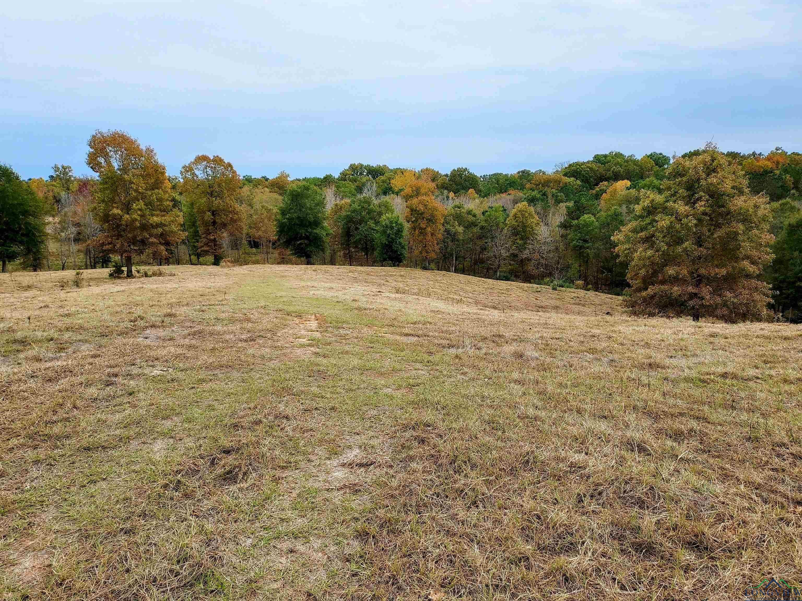 Tbd Almond Road Big Sandy, TX 75755 - Photo 1 of 36 Gallery Image 1