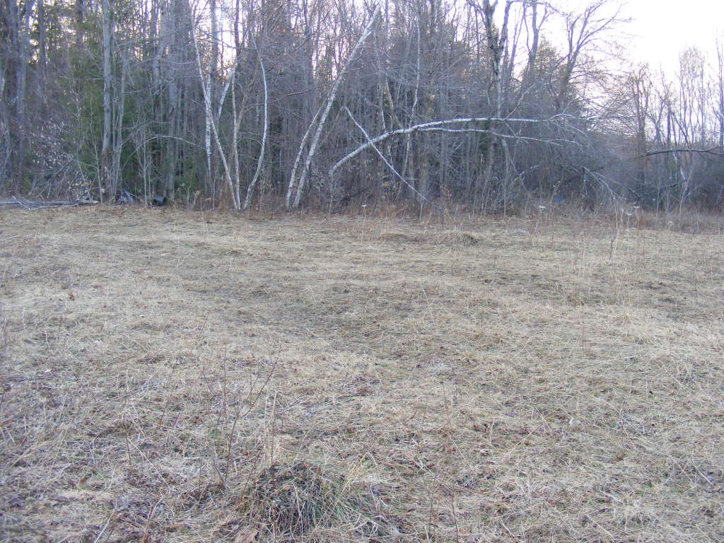 a view of a dry yard