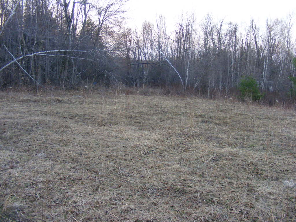 549 Chapel Road Savoy, MA 01256 - Photo 2 of 2 a view of a backyard