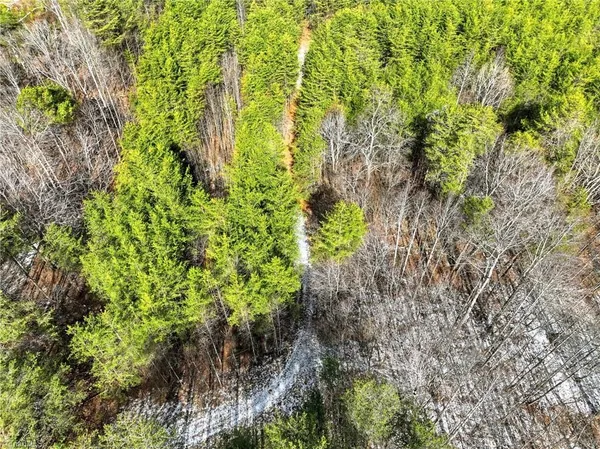 $119,500 | 0 Highway 704 West, Lawsonville, NC 27022