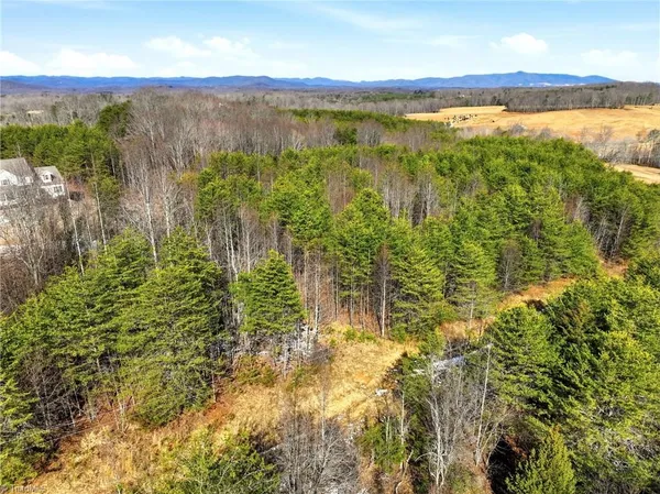 $119,500 | 0 Highway 704 West, Lawsonville, NC 27022