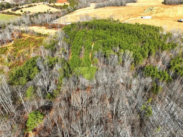 $119,500 | 0 Highway 704 West, Lawsonville, NC 27022