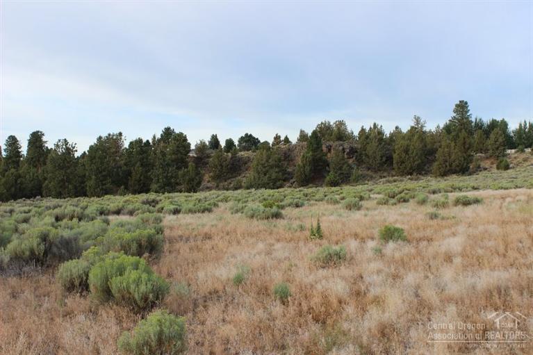 21295 Knott Road Bend, OR 97702 - Photo 4 of 10 a view of a dry field with trees in the background