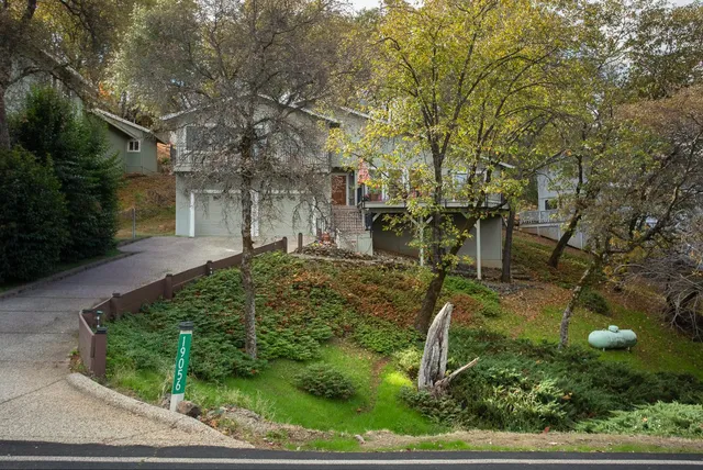 a view of a yard with plants and a bench