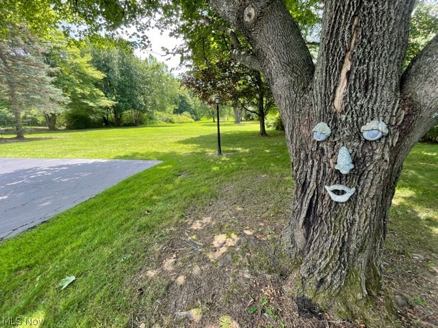 33400 Cedar Road Pepper Pike, OH 44124 - Photo 25 of 34