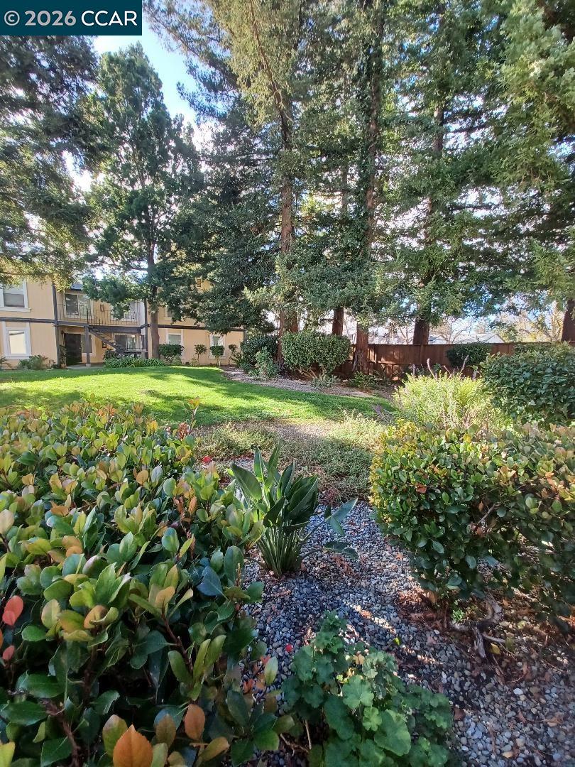 1520 Schenone Court, Unit 15 Concord, CA 94521 - Photo 18 of 19