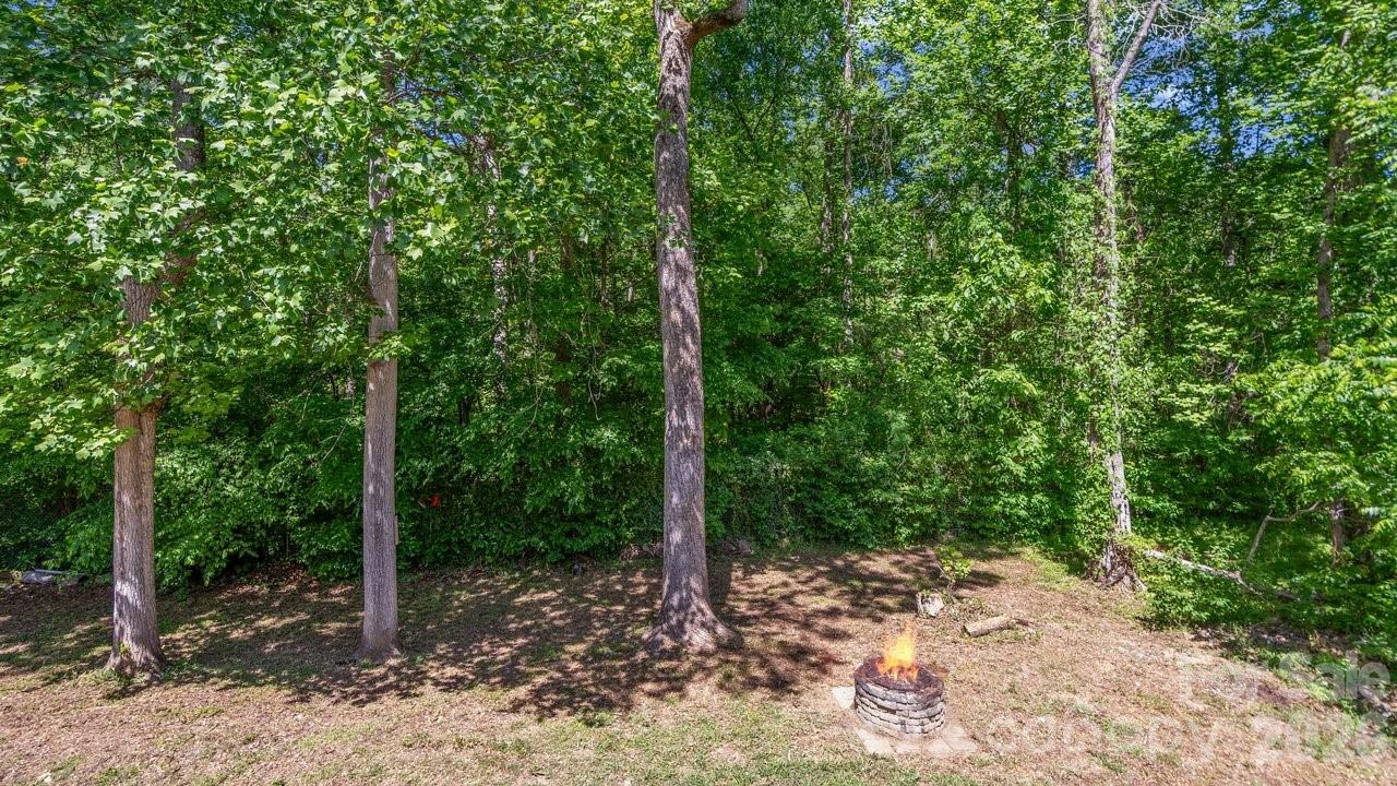 175 Fallsworth Court Salisbury, NC 28147 - Photo 29 of 35 a view of a forest with trees