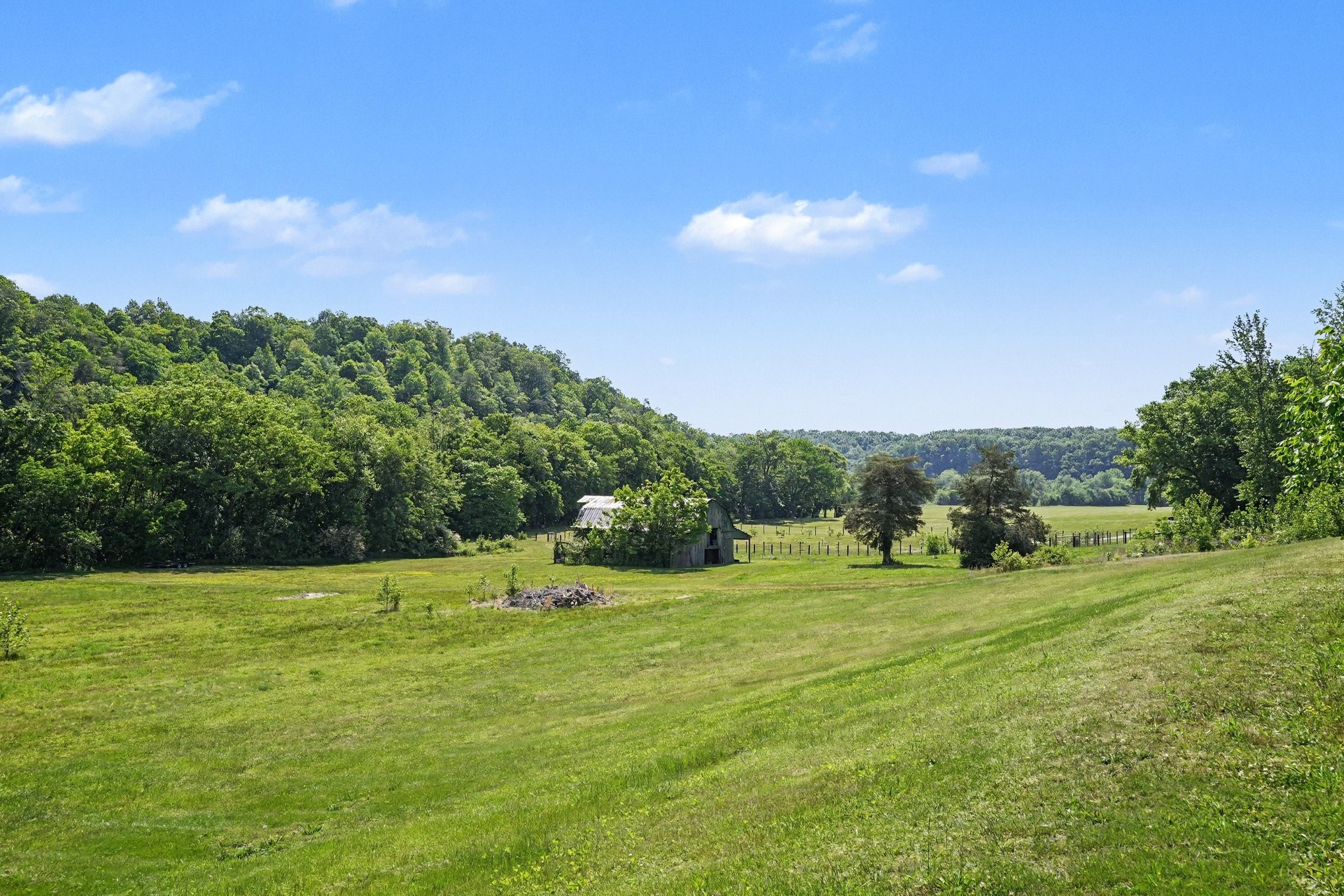 7699 County Line Road North White Bluff, TN 37187 - Photo 13 of 86