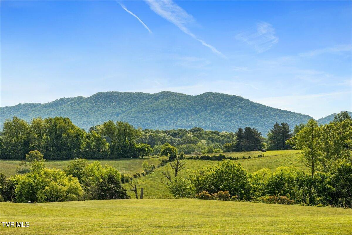 563 Mayberry Road Jonesborough, TN 37659 - Photo 84 of 95 82-128A7703
