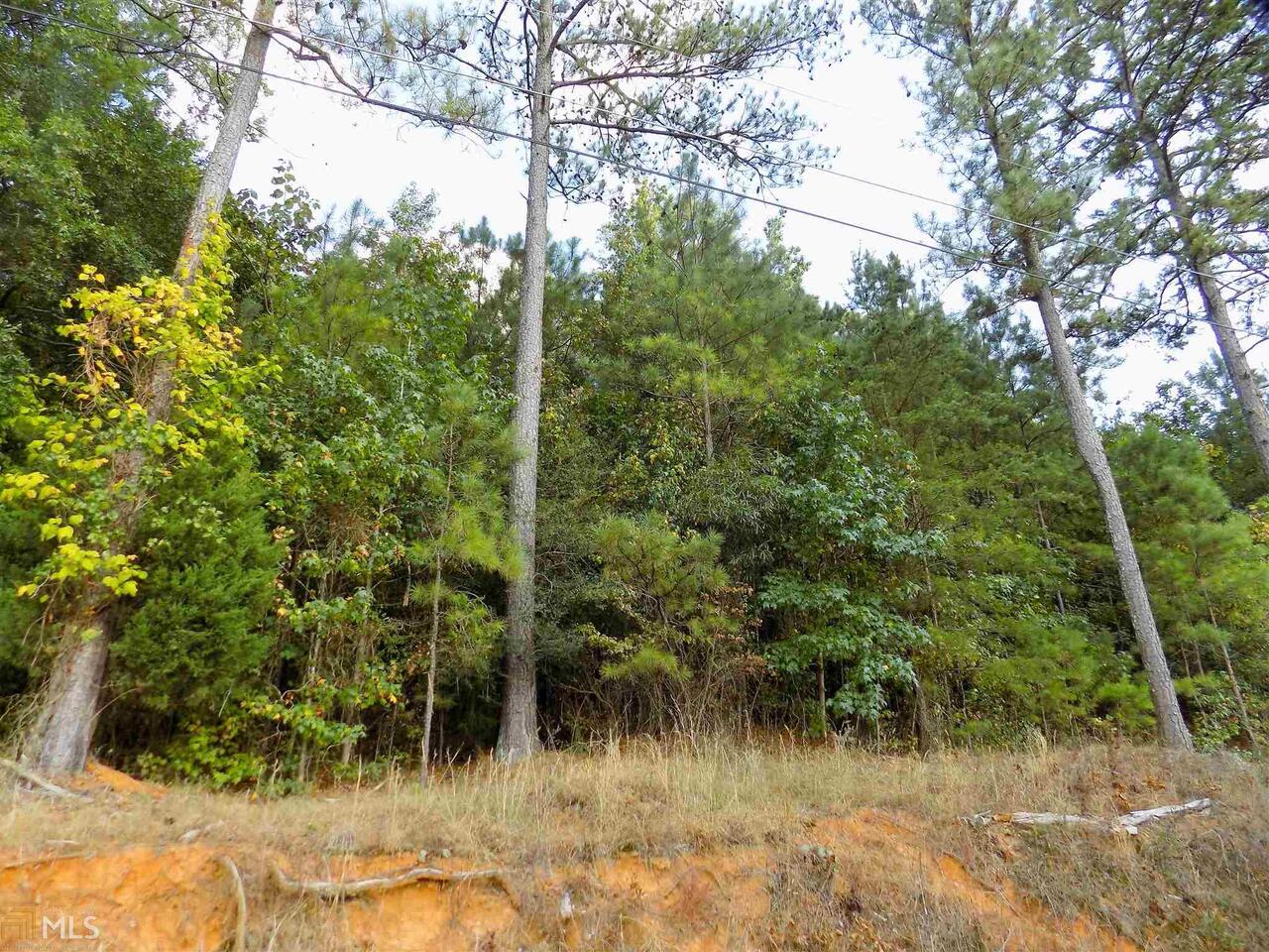 0 Mountain View Drive Rome, GA 30161 - Photo 1 of 1