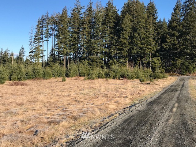 340 Pleasant Hill Road Chehalis, WA 98532 - Photo 2 of 9