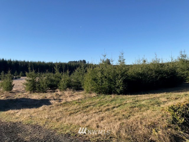 340 Pleasant Hill Road Chehalis, WA 98532 - Photo 3 of 9