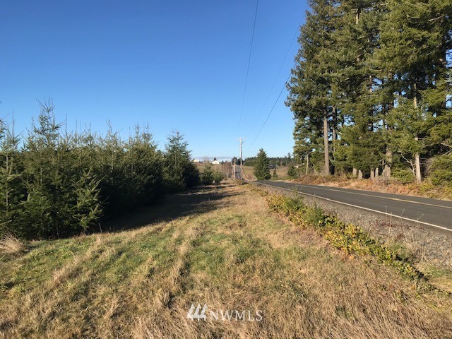 340 Pleasant Hill Road Chehalis, WA 98532 - Photo 4 of 9